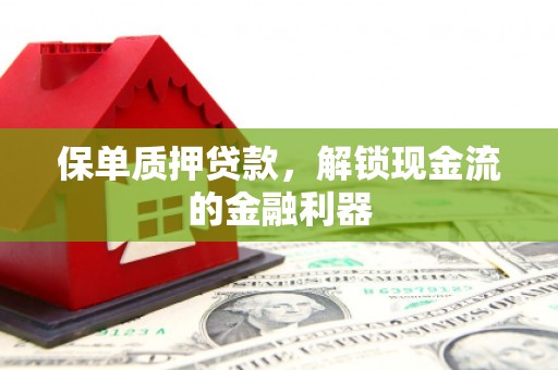 埔里保单质押贷款，解锁现金流的金融利器