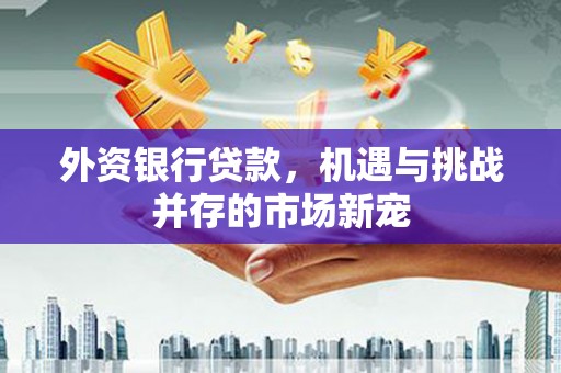 埔里外资银行贷款，机遇与挑战并存的市场新宠