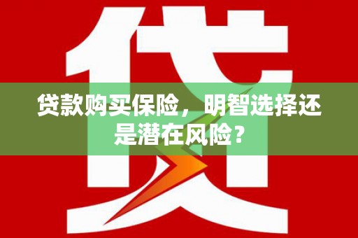 埔里贷款购买保险，明智选择还是潜在风险？
