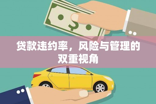 埔里贷款违约率，风险与管理的双重视角