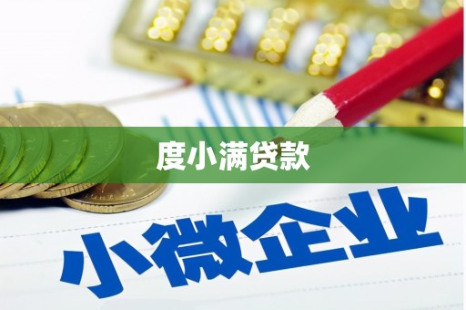 埔里度小满贷款