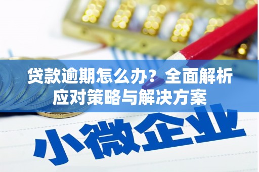 埔里贷款逾期怎么办？全面解析应对策略与解决方案
