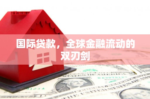 埔里国际贷款，全球金融流动的双刃剑