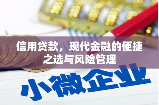埔里信用贷款，现代金融的便捷之选与风险管理