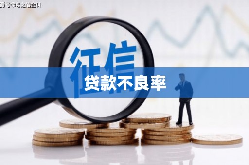 埔里贷款不良率