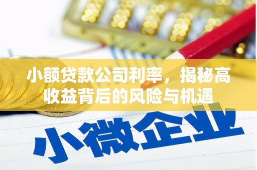 埔里小额贷款公司利率，揭秘高收益背后的风险与机遇
