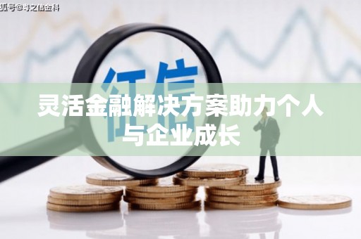 埔里灵活金融解决方案助力个人与企业成长