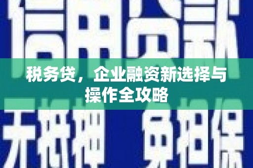 埔里税务贷，企业融资新选择与操作全攻略