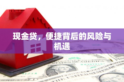 埔里现金贷，便捷背后的风险与机遇