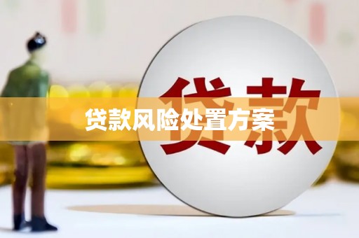 埔里贷款风险处置方案