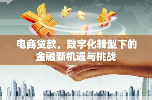 埔里电商贷款，数字化转型下的金融新机遇与挑战