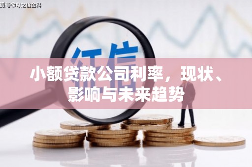 埔里小额贷款公司利率，现状、影响与未来趋势