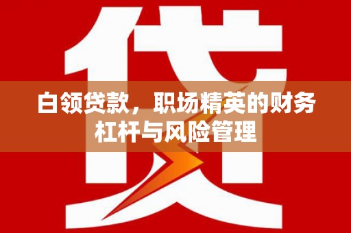 埔里白领贷款，职场精英的财务杠杆与风险管理