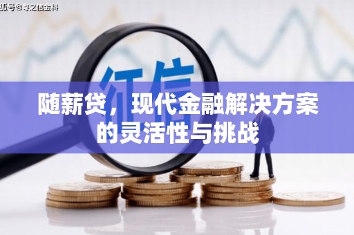 埔里随薪贷，现代金融解决方案的灵活性与挑战