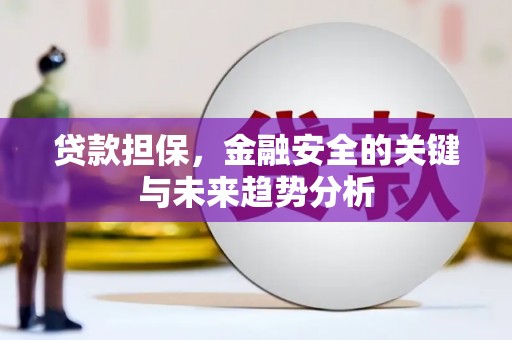 埔里贷款担保，金融安全的关键与未来趋势分析