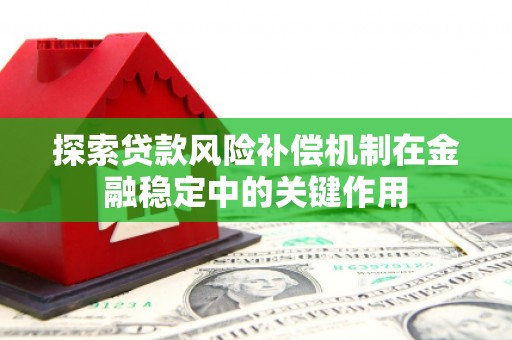 埔里探索贷款风险补偿机制在金融稳定中的关键作用