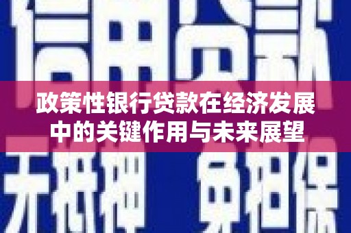 埔里政策性银行贷款在经济发展中的关键作用与未来展望