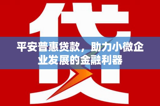 埔里平安普惠贷款，助力小微企业发展的金融利器