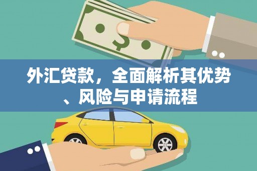 埔里外汇贷款，全面解析其优势、风险与申请流程