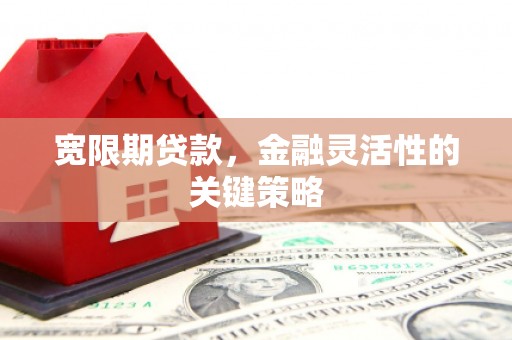 埔里宽限期贷款，金融灵活性的关键策略
