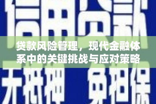 埔里贷款风险管理，现代金融体系中的关键挑战与应对策略