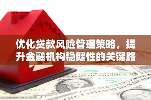 埔里优化贷款风险管理策略，提升金融机构稳健性的关键路径