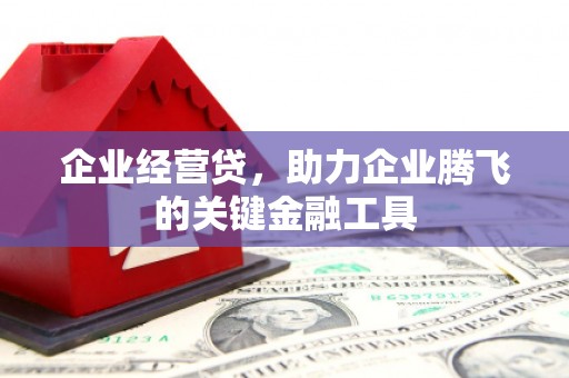 埔里企业经营贷，助力企业腾飞的关键金融工具