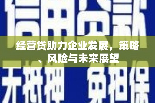 埔里经营贷助力企业发展，策略、风险与未来展望