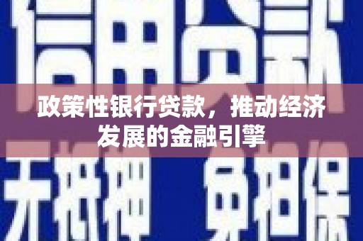 埔里政策性银行贷款，推动经济发展的金融引擎