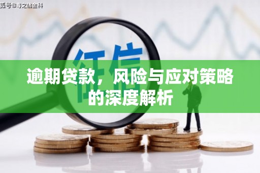 埔里逾期贷款，风险与应对策略的深度解析