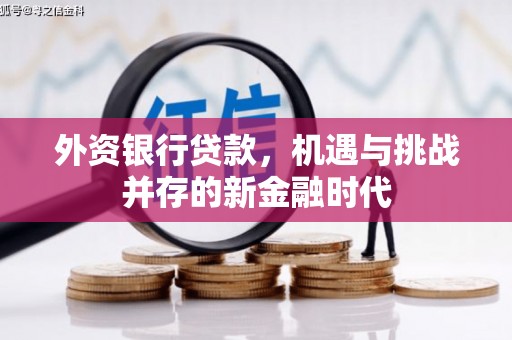 埔里外资银行贷款，机遇与挑战并存的新金融时代