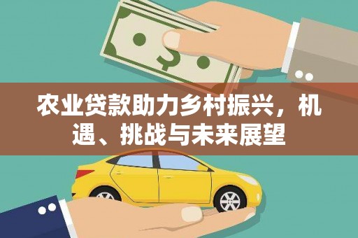 埔里农业贷款助力乡村振兴，机遇、挑战与未来展望