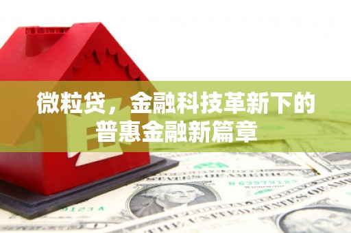 埔里微粒贷，金融科技革新下的普惠金融新篇章