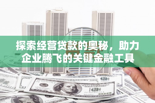 埔里探索经营贷款的奥秘，助力企业腾飞的关键金融工具