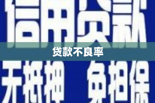 埔里贷款不良率