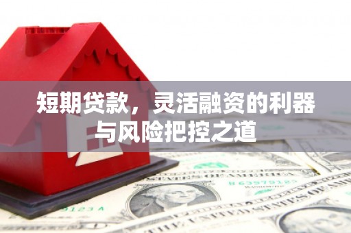 埔里短期贷款，灵活融资的利器与风险把控之道