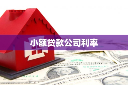 埔里小额贷款公司利率