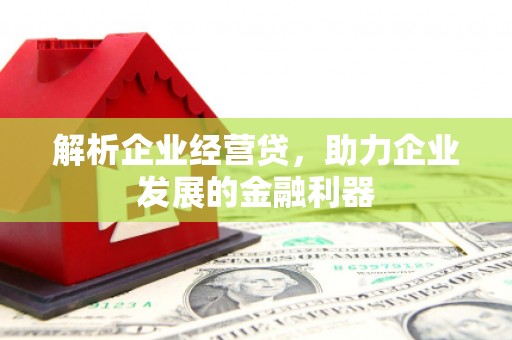 埔里解析企业经营贷，助力企业发展的金融利器