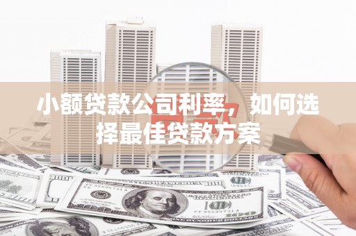 埔里小额贷款公司利率，如何选择最佳贷款方案