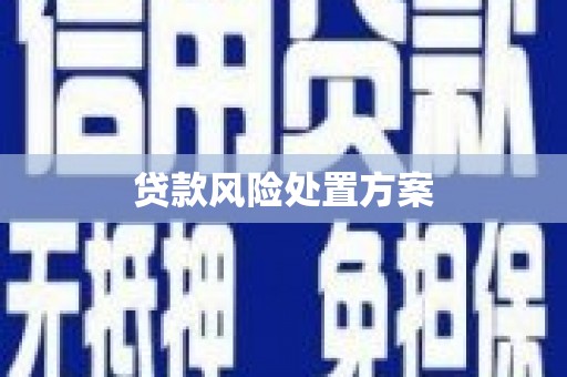 埔里贷款风险处置方案