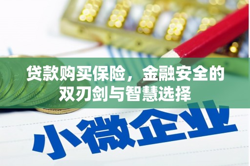 埔里贷款购买保险，金融安全的双刃剑与智慧选择