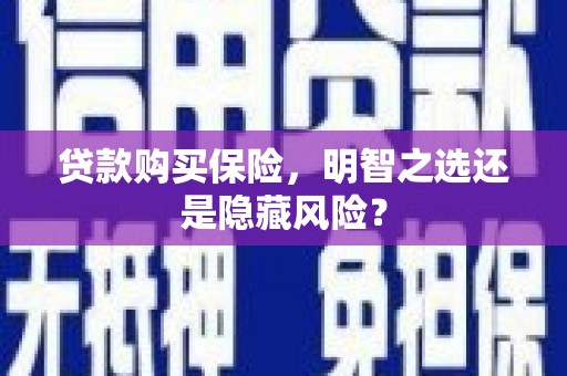 埔里贷款购买保险，明智之选还是隐藏风险？