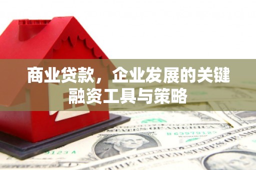 埔里商业贷款，企业发展的关键融资工具与策略