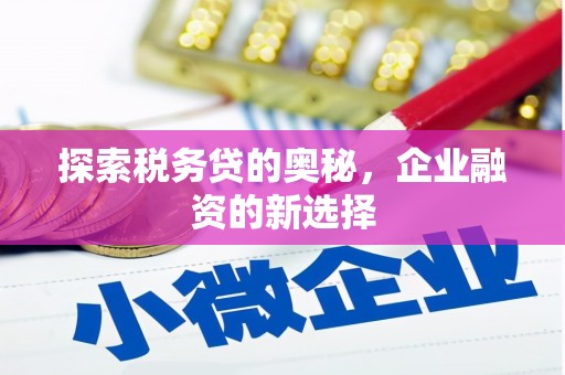埔里探索税务贷的奥秘，企业融资的新选择