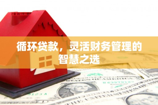埔里循环贷款，灵活财务管理的智慧之选