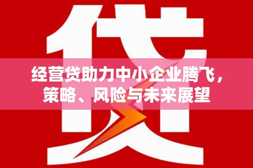 埔里经营贷助力中小企业腾飞，策略、风险与未来展望