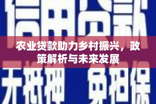 埔里农业贷款助力乡村振兴，政策解析与未来发展