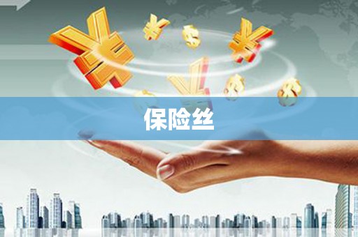 埔里保险丝