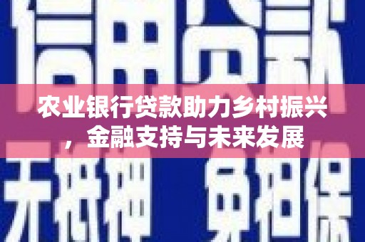 埔里农业银行贷款助力乡村振兴，金融支持与未来发展