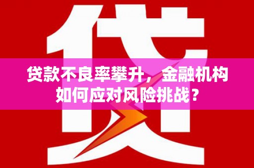 埔里贷款不良率攀升，金融机构如何应对风险挑战？